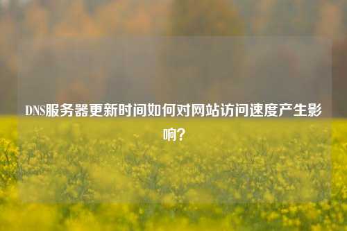 DNS服務(wù)器更新時(shí)間如何對(duì)網(wǎng)站訪問(wèn)速度產(chǎn)生影響？