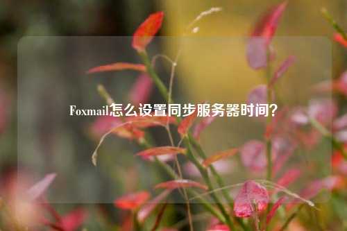 Foxmail怎么設(shè)置同步服務(wù)器時間？