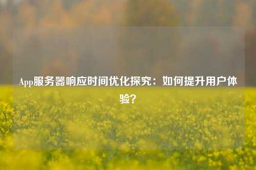 App服務(wù)器響應(yīng)時間優(yōu)化探究：如何提升用戶體驗？