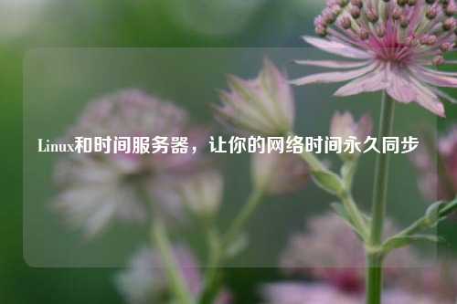 Linux和時間服務器，讓你的網絡時間永久同步