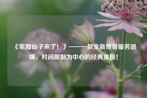 《紫霞仙子來了！》——一款全新傳奇服務(wù)器端，時(shí)間限制為中心的經(jīng)典重現(xiàn)！