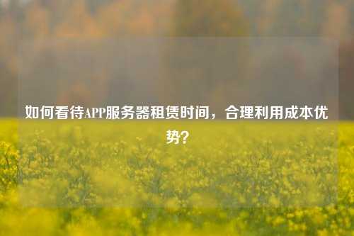 如何看待APP服務(wù)器租賃時間，合理利用成本優(yōu)勢？