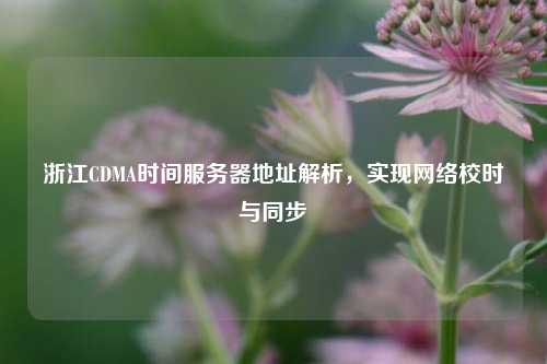 浙江CDMA時間服務(wù)器地址解析，實現(xiàn)網(wǎng)絡(luò)校時與同步