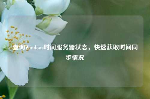 查詢Windows時間服務(wù)器狀態(tài)，快速獲取時間同步情況