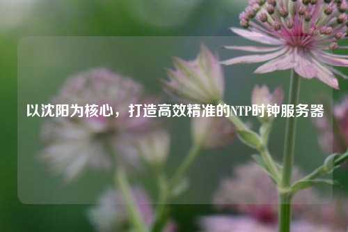 以沈陽為核心，打造高效精準(zhǔn)的NTP時鐘服務(wù)器