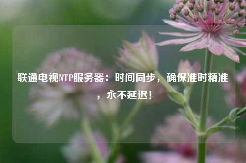 聯通電視NTP服務器：時間同步，確保準時精準，永不延遲！