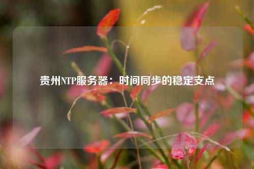 貴州NTP服務器：時間同步的穩(wěn)定支點