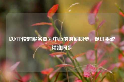 以NTP校對服務器為中心的時間同步，保證系統精準同步