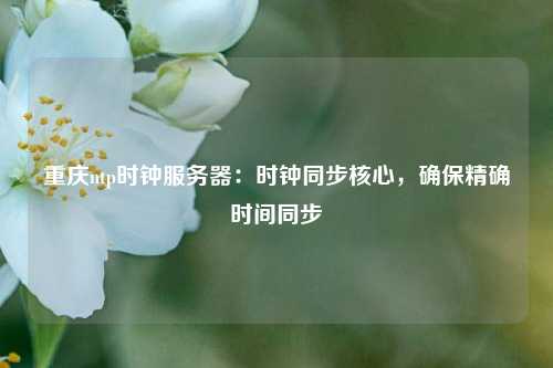 重慶ntp時鐘服務器：時鐘同步核心，確保精確時間同步