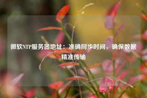 微軟NTP服務(wù)器地址：準(zhǔn)確同步時間，確保數(shù)據(jù)精準(zhǔn)傳輸