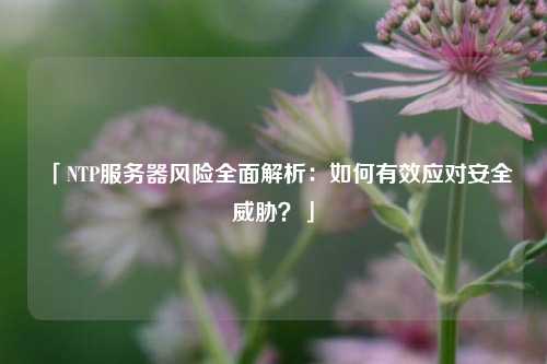 「NTP服務器風險全面解析：如何有效應對安全威脅？」