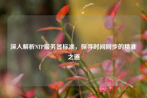 深入解析NTP服務(wù)器標準，探尋時間同步的精準之道