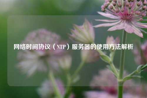 網絡時間協(xié)議（NTP）服務器的使用方法解析
