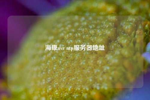 ?？祅vr ntp服務器地址